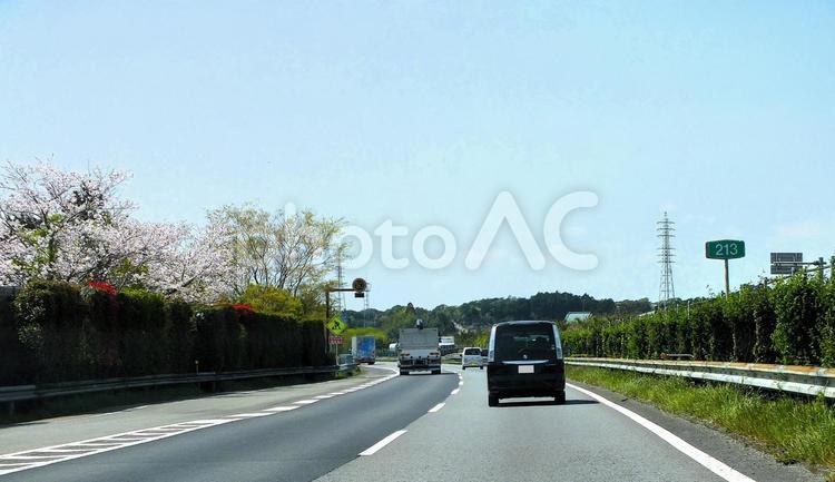 東名高速道路の春　窓から見える美しい桜 トラック,桜,春の写真素材