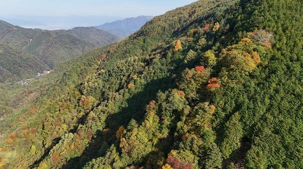 山紅葉013 山,紅葉,山紅葉の写真素材