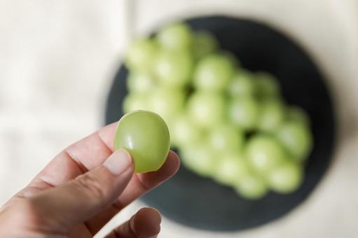 シャインマスカット シャインマスカット シャインマスカット,マスカット,ぶどうの写真素材