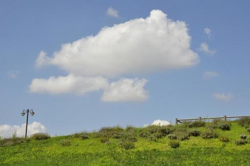 夏の空 夏の空の写真