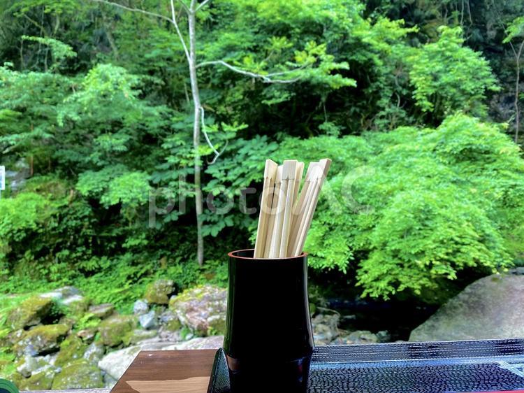 緑の中の割り箸立て 森林,緑,新緑の写真素材
