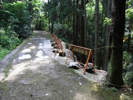 自然公園の遊歩道崩落危険箇所 道,歩道,遊歩道の写真素材