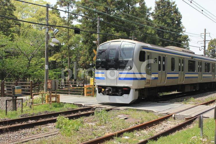鎌倉を走る横須賀線 鉄道,jr,線路の写真素材