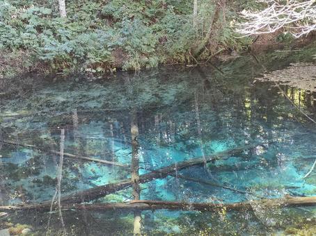 神の子池 神の子池 秘境,神秘的,神の子池の写真素材