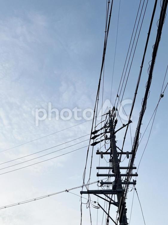 電柱と電線と空 空,電線,電柱の写真素材