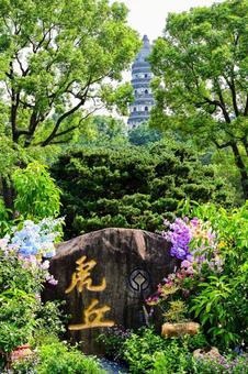 Photo, suzhou, tiger hill, tower, 