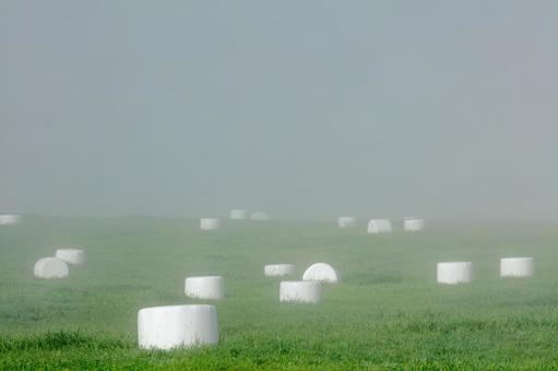 霧の中に浮かぶ牧草ロール 霧の中に浮かぶ牧草ロールの写真