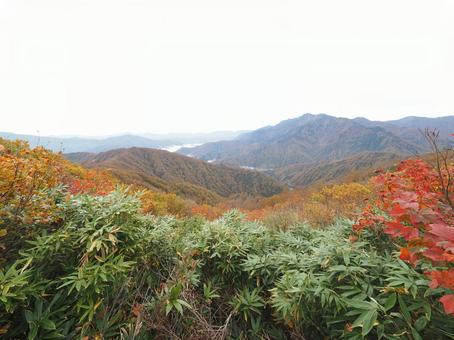 紅葉(越後三山・越後駒ヶ岳) 紅葉(越後三山・越後駒ヶ岳)の写真
