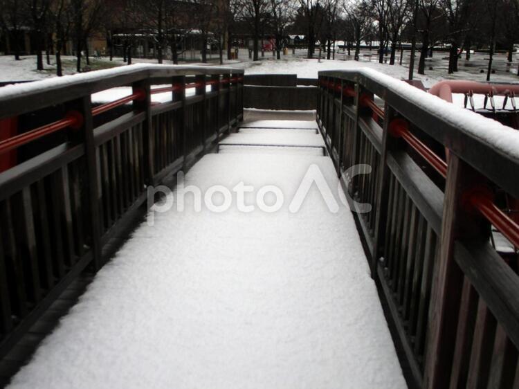 冬の雪の積もった公園の通路 雪,積雪,冬の写真素材