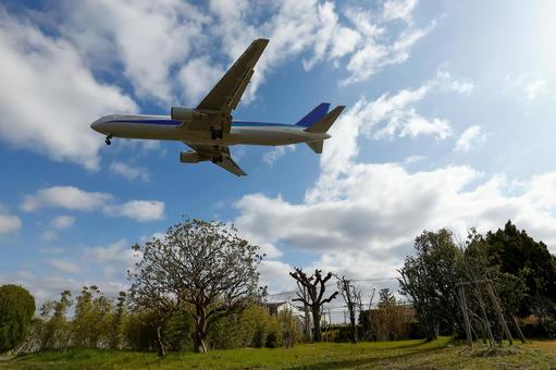 公園の上を飛ぶ旅客機 飛行機,航空機,旅客機の写真素材