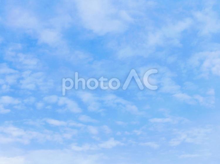 仰ぐ空に浮かぶたくさんの小さな雲 雲,ふわふわ,小さいの写真素材