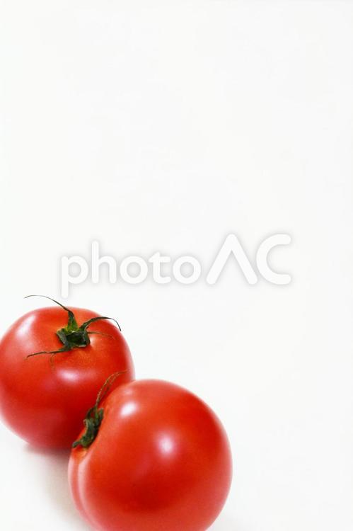トマト2個　コピースペース トマト,とまと,野菜の写真素材