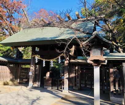 船橋大神宮　意富比神社　神門　拝殿 船橋大神宮,意富比神社,千葉県船橋市の写真素材