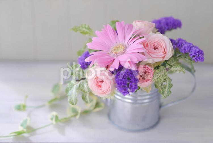 ピンク系のアレンジメント ジョーロ,グリーン,シャビーの写真素材