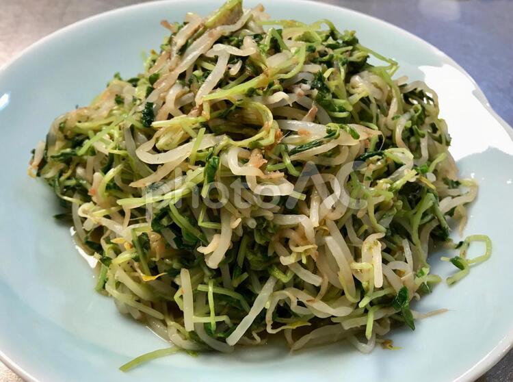 もやしと豆苗のおかか和え おかず,さっぱり,カロリーの写真素材