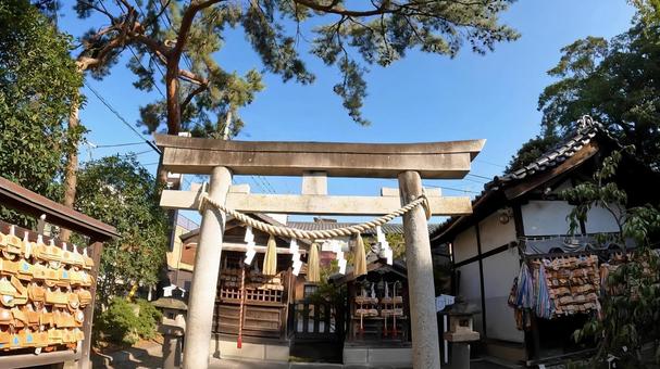 埼玉県行田市行田　 行田八幡神社　鳥居 埼玉,行田市行田,行田八幡神社の写真素材