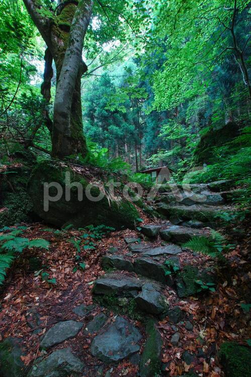 山乗渓谷・不動滝 山乗渓谷,渓谷,渓流の写真素材