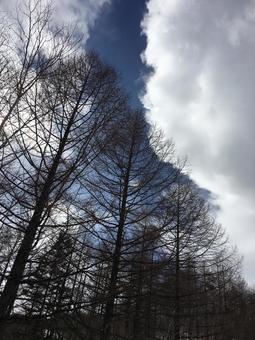 雲 雲の写真