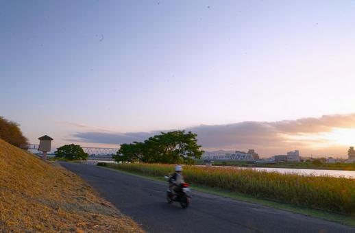 秋の夕方(川べり) 秋の夕方(川べり) 夕方,草,土手の写真素材