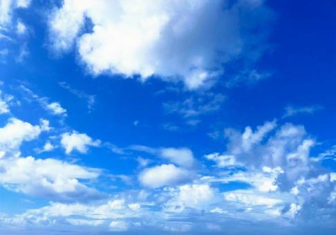 夏の青空 夏の青空の写真