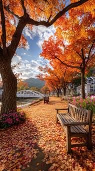 木漏れ日と紅葉が美しい公園の写真