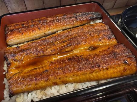 うな重1 うな重1 うな重,蒲焼き,和食の写真素材