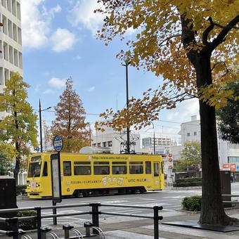 路面電車（岡山） 路面電車,レール,軌道の写真素材