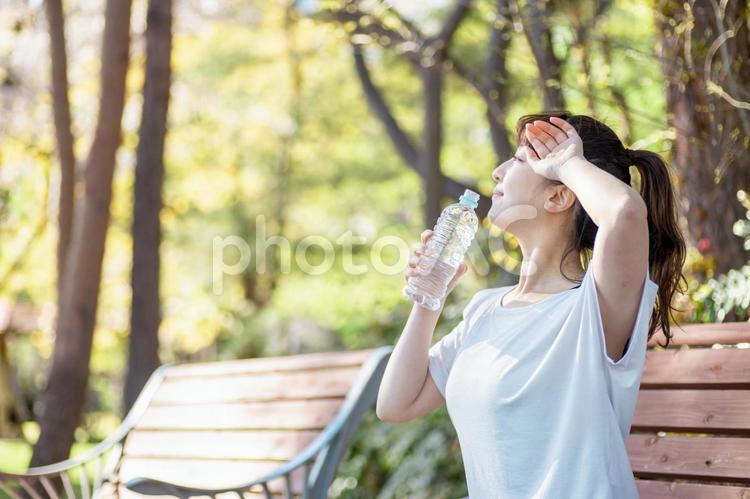 トレーニング中に休憩する女性（水を飲む・笑顔） 水分補給,汗,水の写真素材