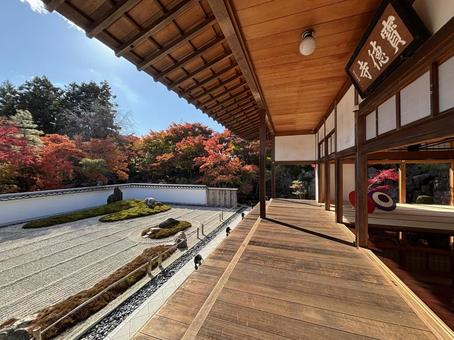 宝徳寺 宝徳寺,紅葉,庭の写真素材