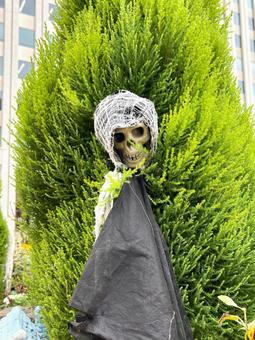 都心のハロウィン 都心のハロウィンの写真