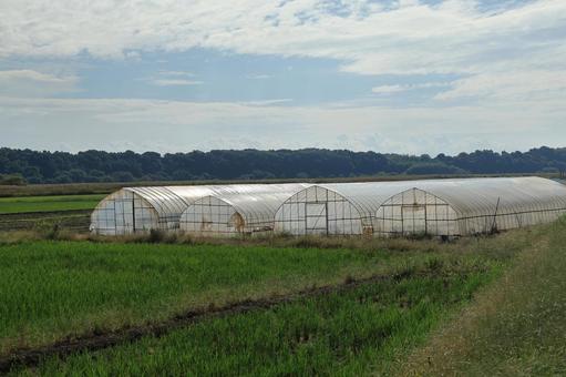 農業用ビニールハウスの写真