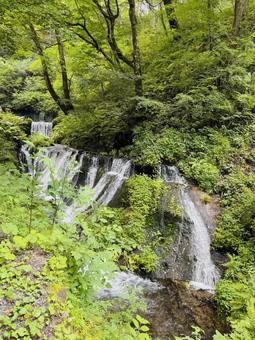 白糸の滝 白糸の滝の写真