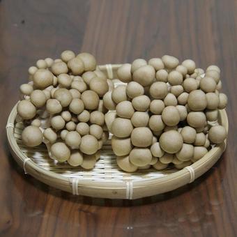 しめじ2 しめじ2 キノコ,しめじ,食べ物の写真素材