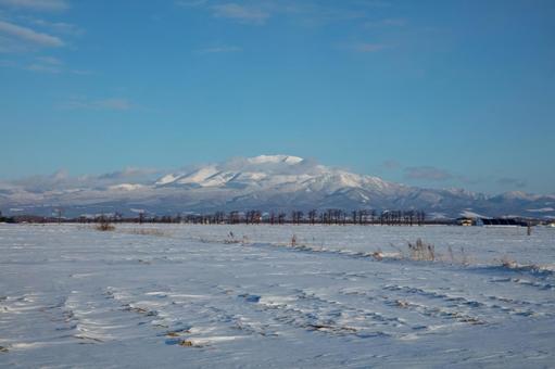 広大な雪原と海別岳 広大な雪原と海別岳 雪原,風紋,海別岳の写真素材