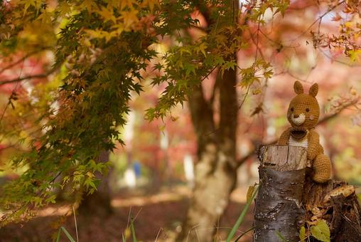 もりの生活 秋,壁画,紅葉の写真素材