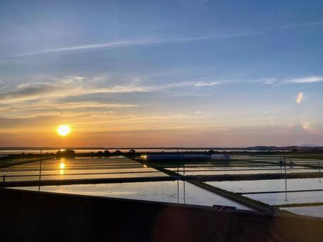 田んぼと夕日 田んぼと夕日の写真