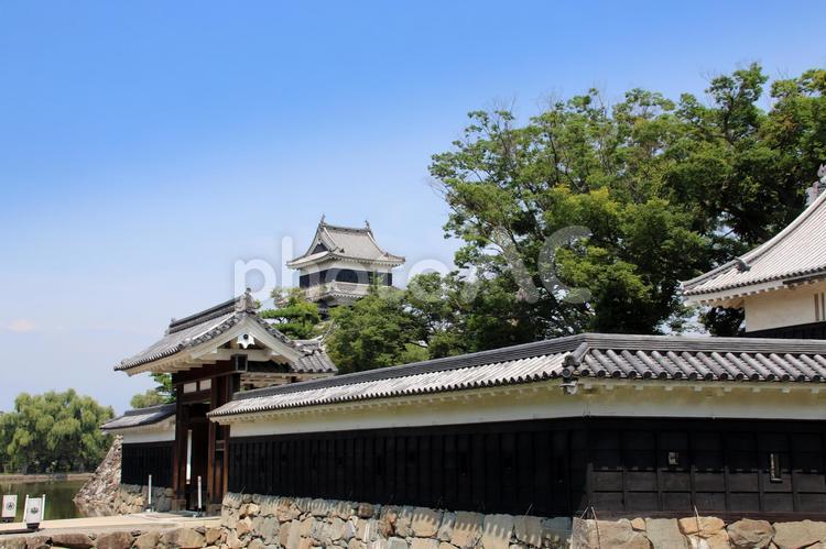 長野県松本市の国宝松本城 松本城,松本市,長野県の写真素材