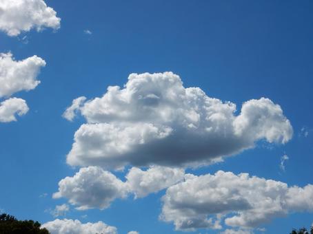 【風景写真】夏空 【風景写真】夏空の写真