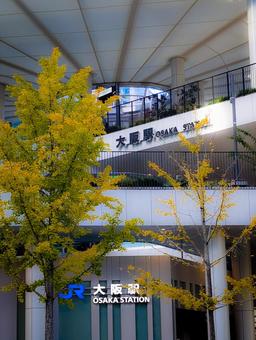 JR大阪駅と銀杏 交通,大阪駅,駅の写真素材