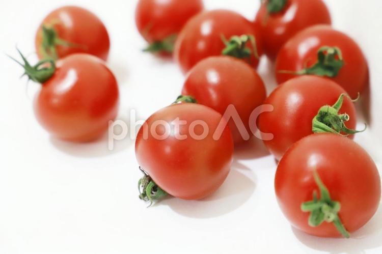 採れたてのミニトマト ミニトマト,トマト,プチトマトの写真素材