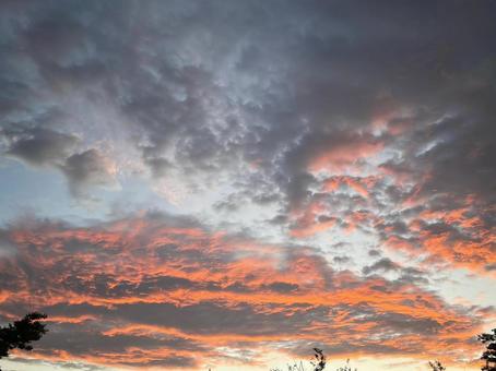 Photo, sky, morning glow, evening sky, 