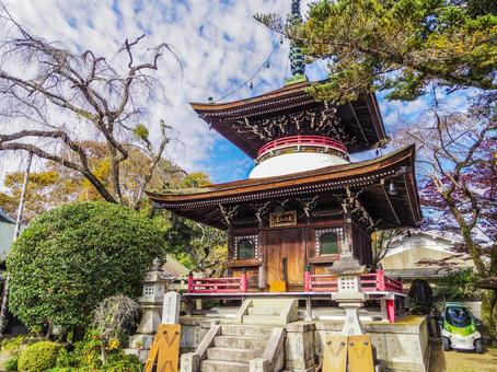 【奈良県】吉野町・東南院 東南院,吉野町,寺社仏閣の写真素材