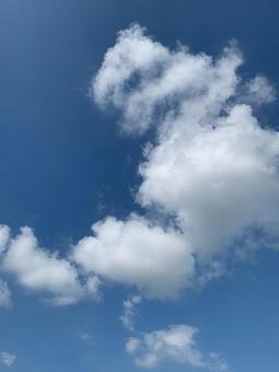 空 青空 タテ 空 青空 タテの写真