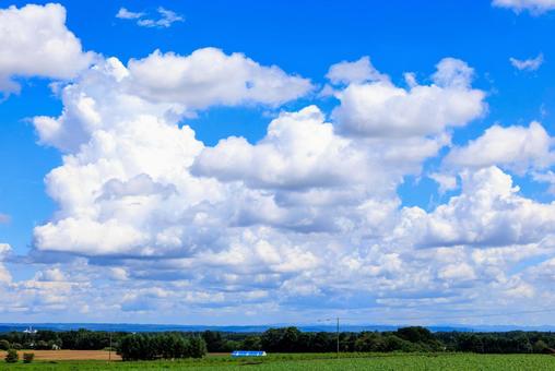青空と雲 青空と雲 青空,雲,白い雲の写真素材