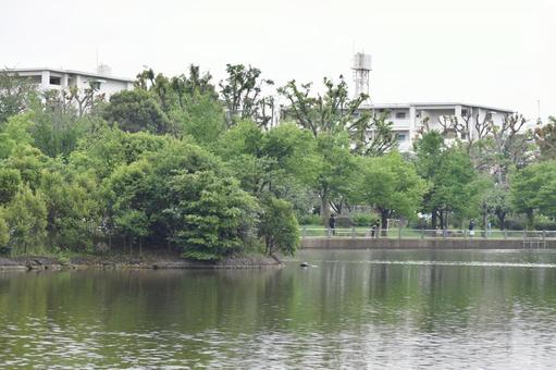 池　風景 池,風景,水の写真素材