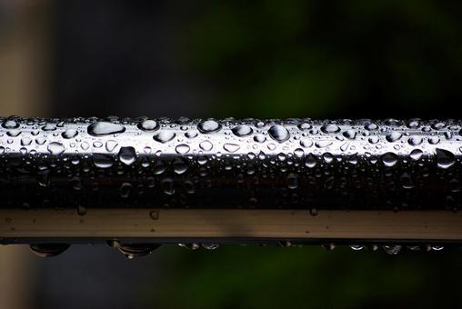 秋雨の雨滴 雨滴,水,しずくの写真素材