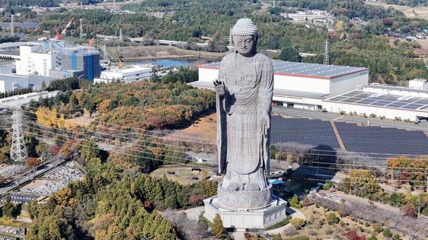 牛久大仏を航空望遠撮影 牛久大仏,牛久市,茨城県の写真素材