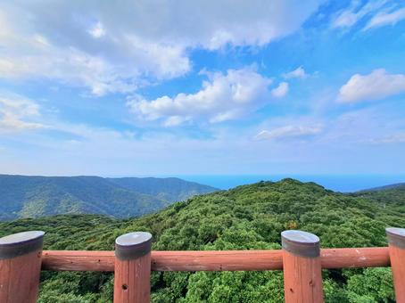 奄美自然観察の森　ドラゴントリデから 奄美自然観察の森,自然,景色の写真素材