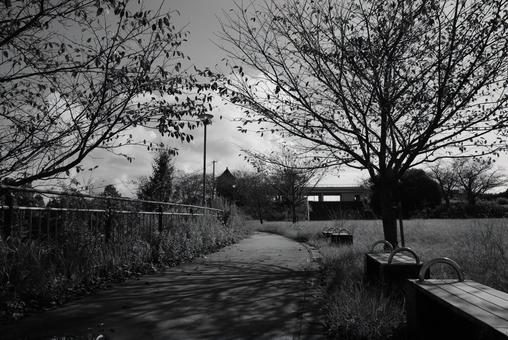 公園の広場の風景 公園の広場の風景 公園,広場,晴れの写真素材