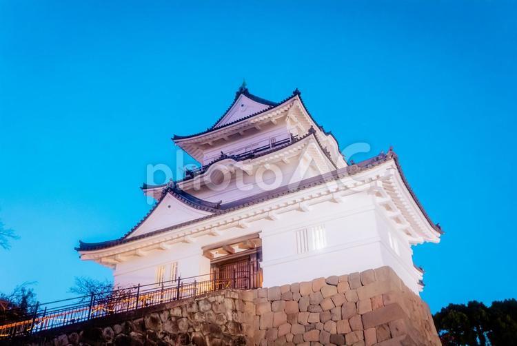 【神奈川】小田原城周辺　お城 夜,小田原,神奈川の写真素材